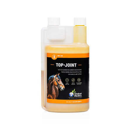 Top-Joint